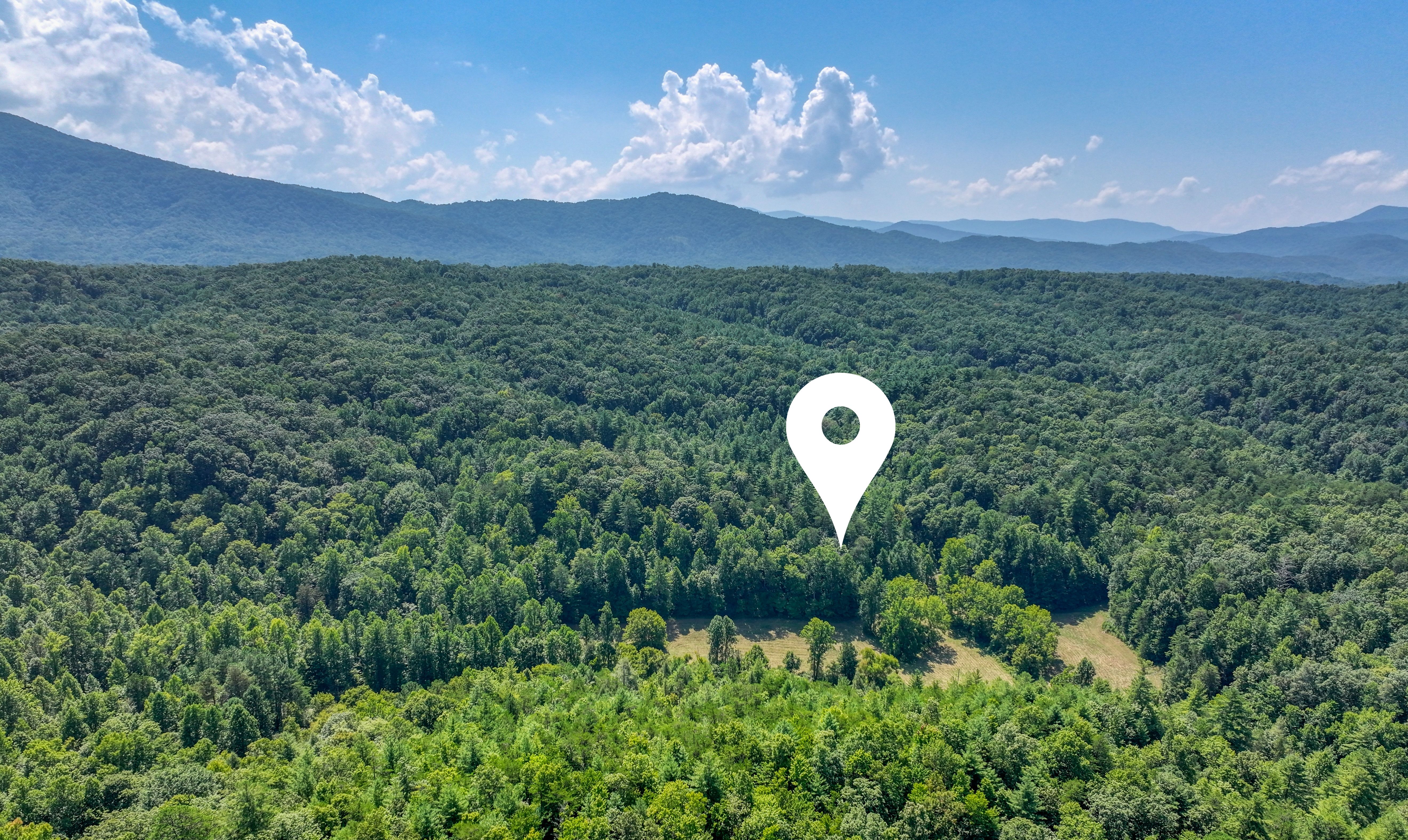  Belcher Loop, Tellico Plains, TN 37385 - 物件實景