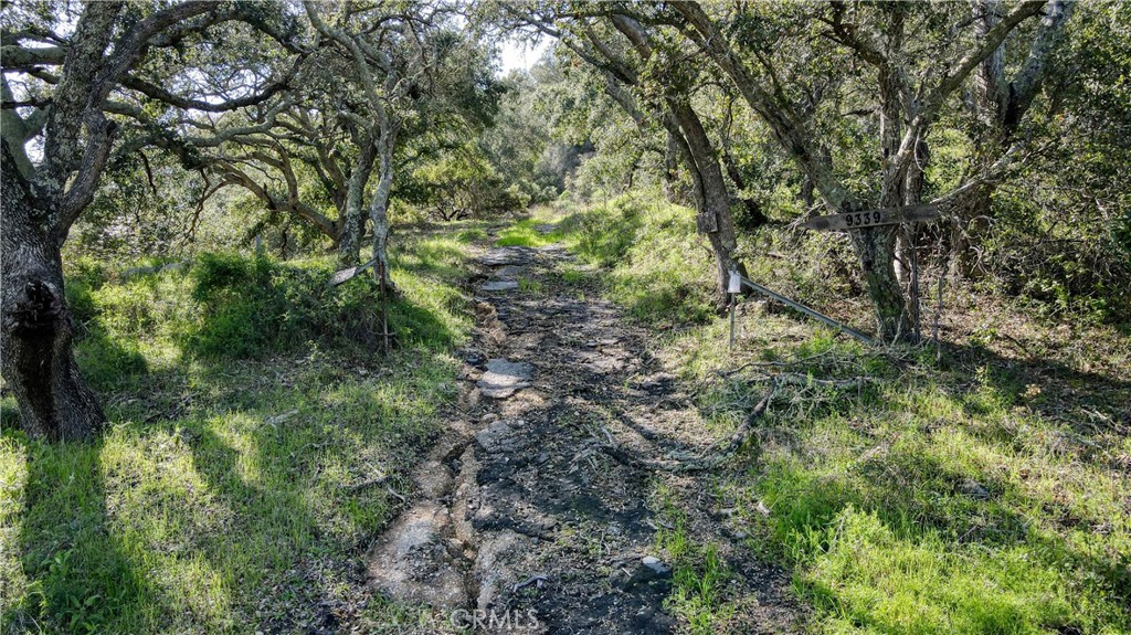 Santa Maria, California, 93454, United States, ,Land,For Sale,2022548