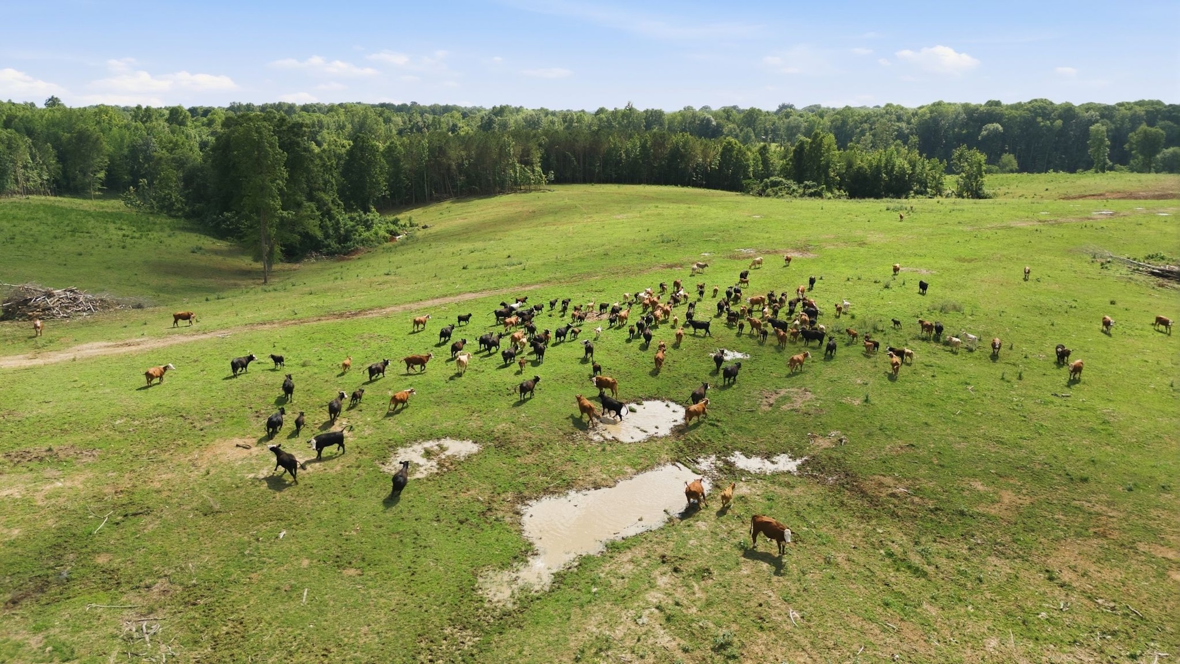  925 Sumac Rd, Pulaski, TN, 38478 - 物件實景