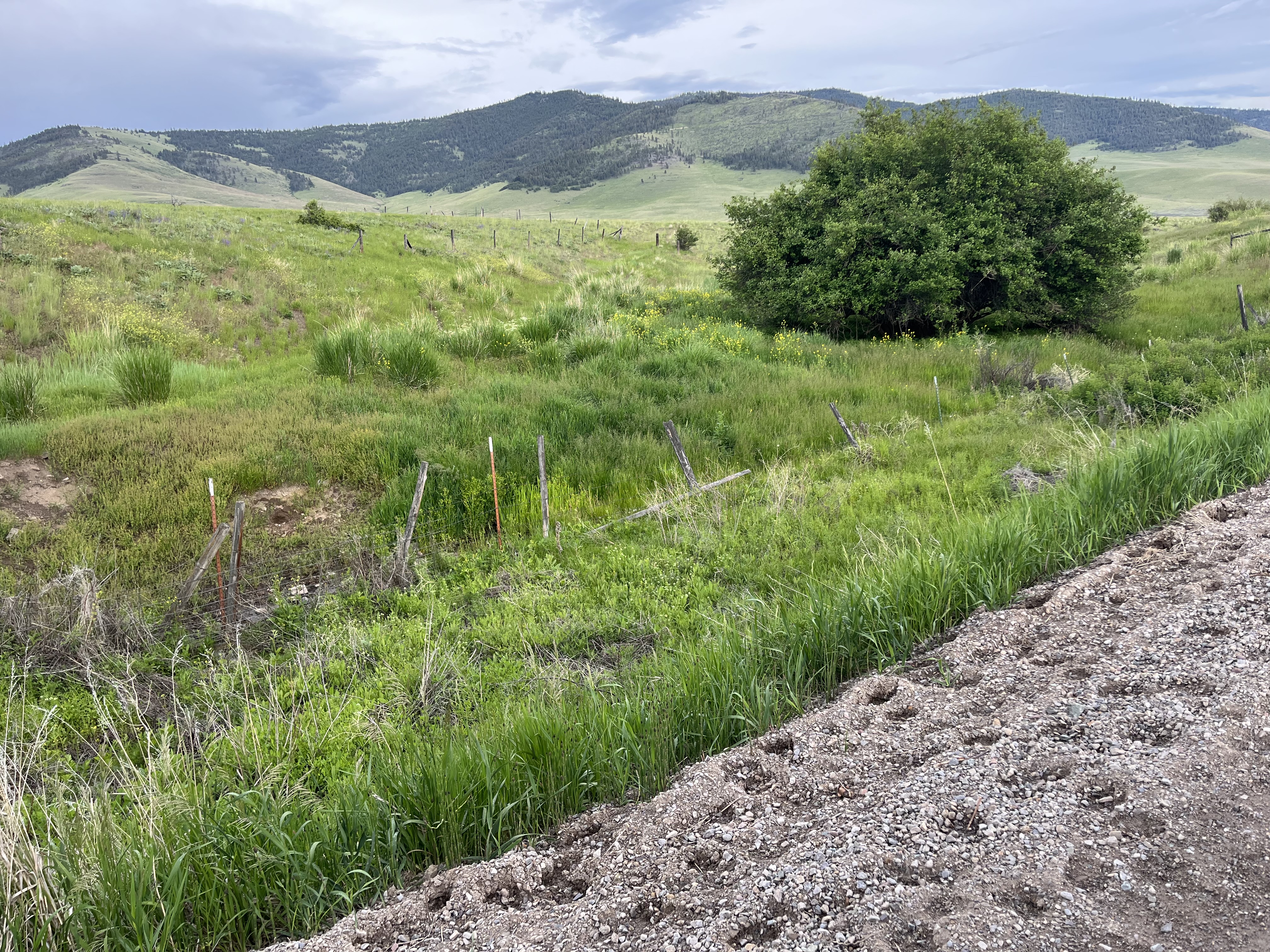 Hot Springs, Montana, 59845, United States, ,Residential,For Sale,1836275