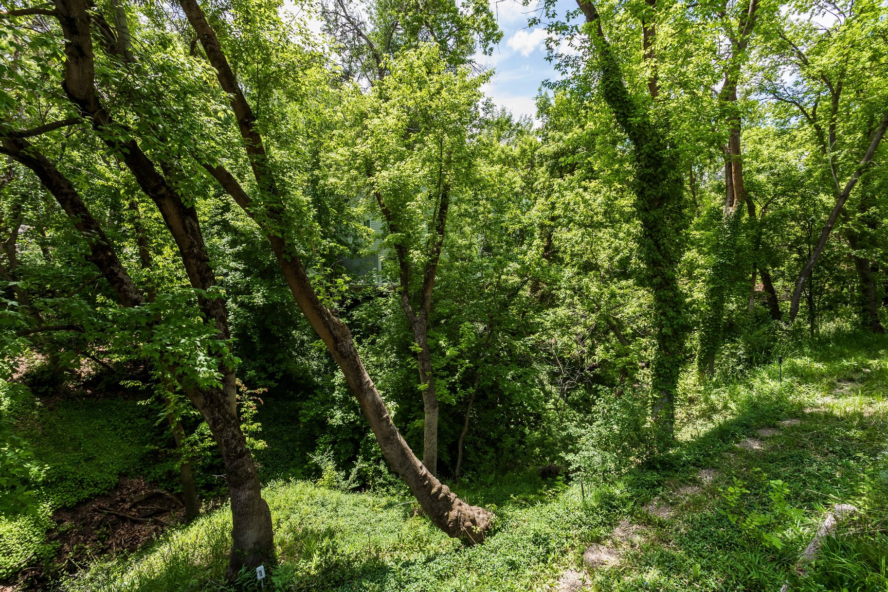  The Bend at Holladay, A Private Creekside Sanctuary - 物件實景