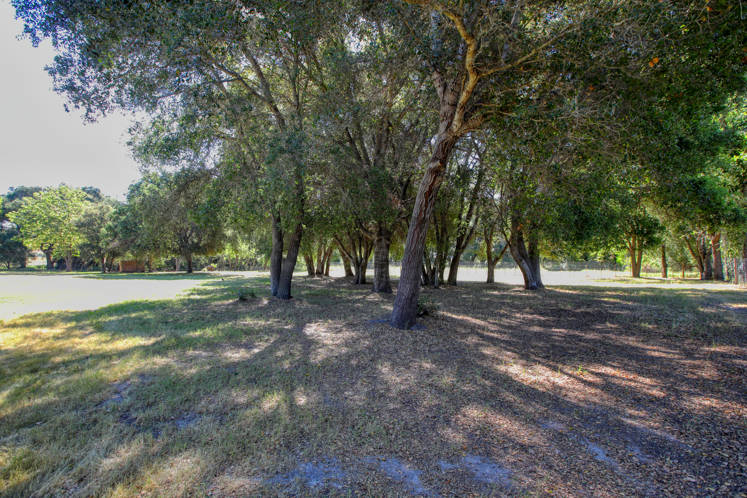  4909 Huasna Townsite Road, Arroyo Grande, CA 93420 - 物件實景
