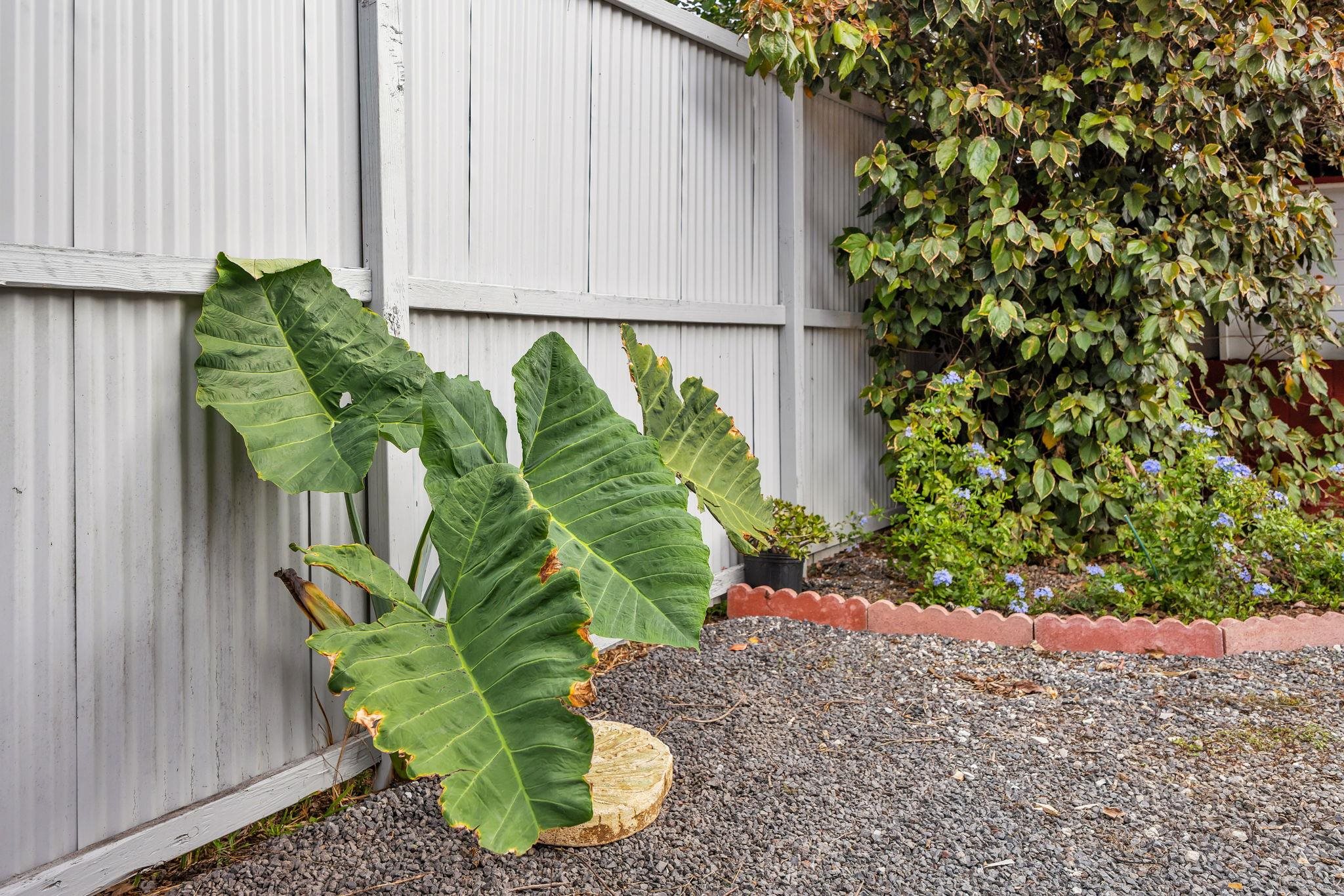 Haiku, Hawaii, 96708, United States, 3 Bedrooms Bedrooms, ,2 BathroomsBathrooms,Residential,For Sale,1994654