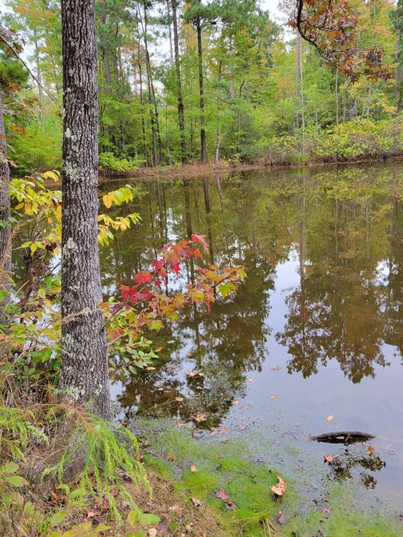 Gibsland, Louisiana, 71028, United States, 2 Bedrooms Bedrooms, ,1 BathroomBathrooms,Residential,For Sale,1939847