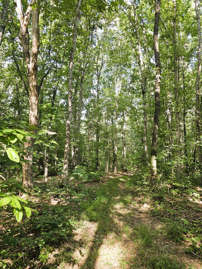 Brookneal, Virginia, 24528, United States, 2 Bedrooms Bedrooms, ,2 BathroomsBathrooms,Residential,For Sale,1927692