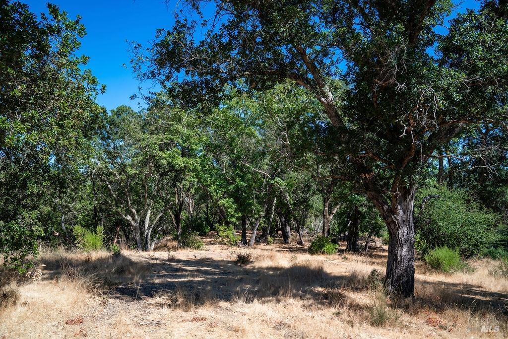 St. Helena, California, 94574, United States, ,Residential,For Sale,1846631