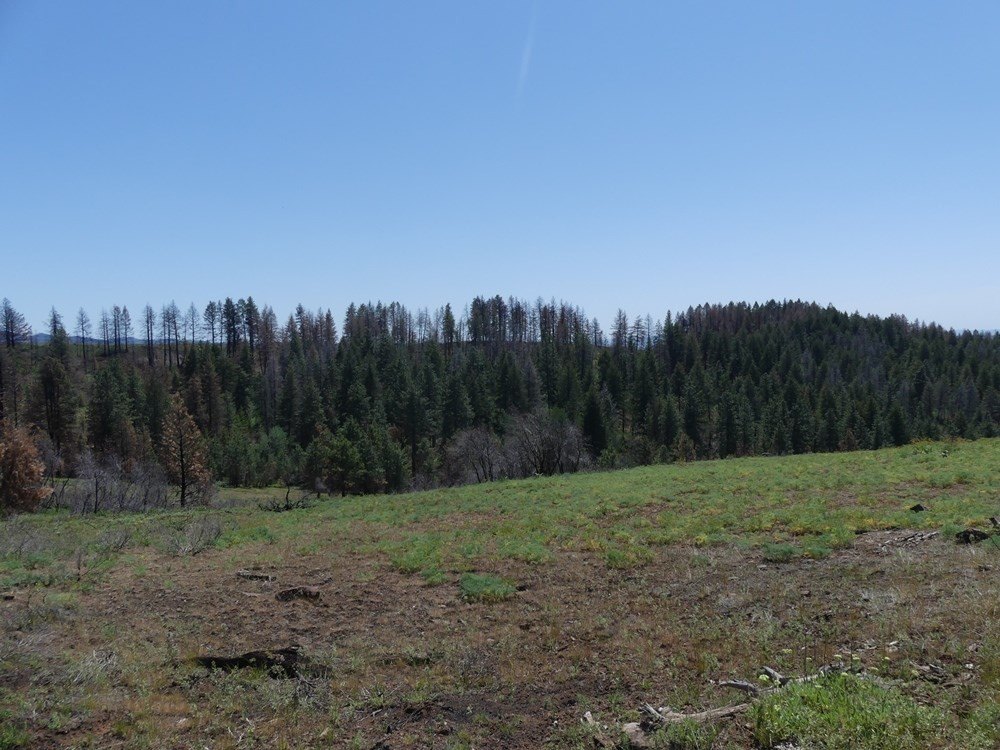 Indian Valley, Idaho, 83682, United States, ,Land,For Sale,1976667