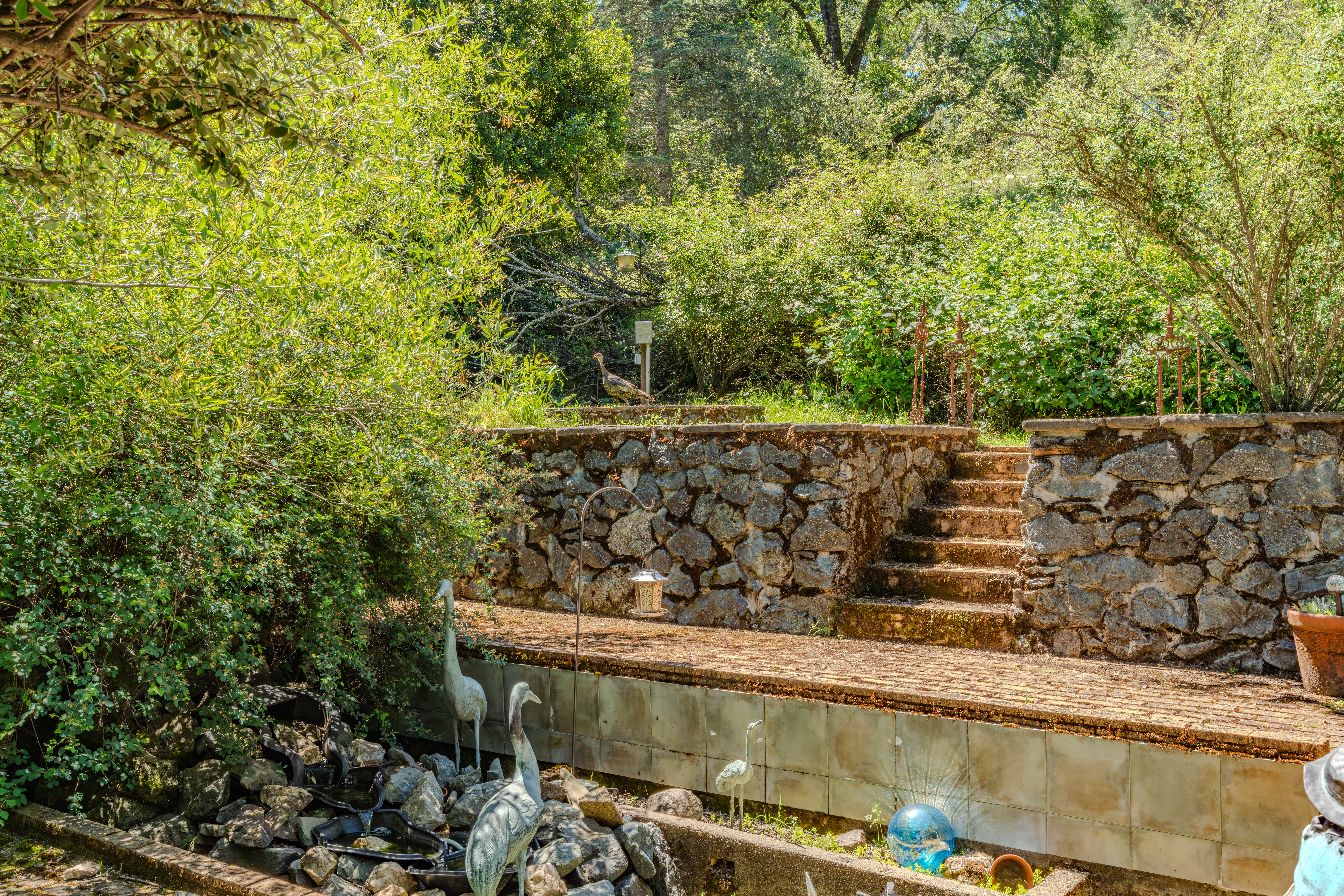  1407 Jackson Gate Road, Jackson, CA 95642 - 物件實景