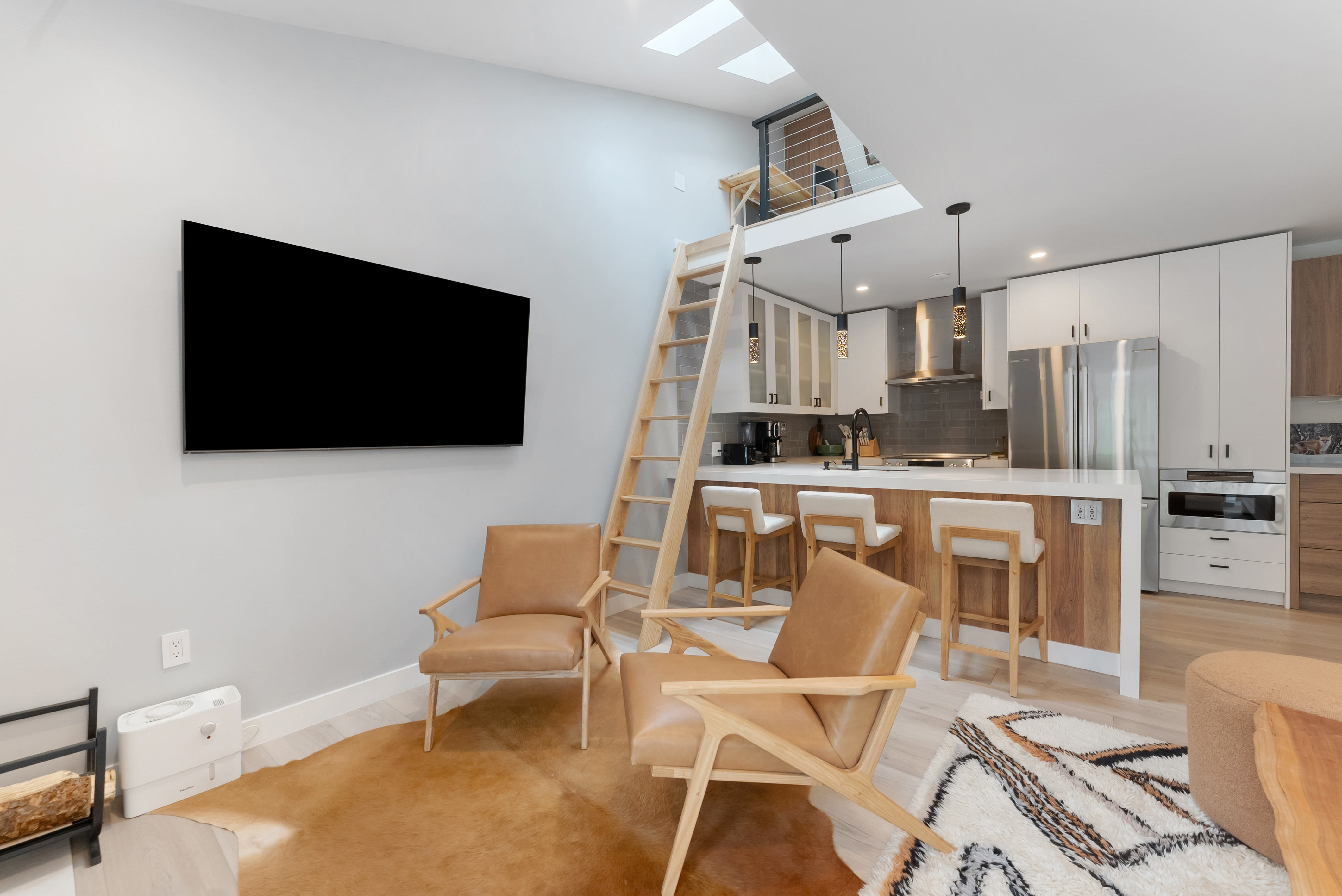 910 W Hallam Street, Aspen, CO, 81611 - 物件實景