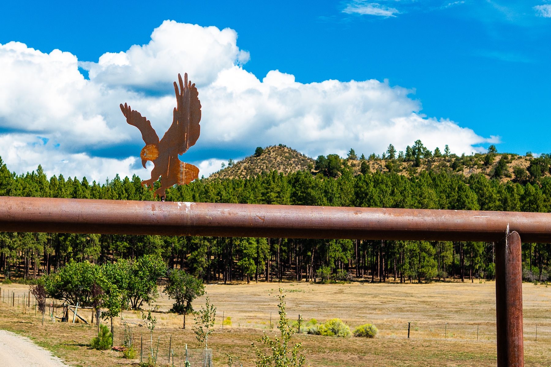  540 Bald Eagle Road, Bayfield, CO 81122 - 物件實景