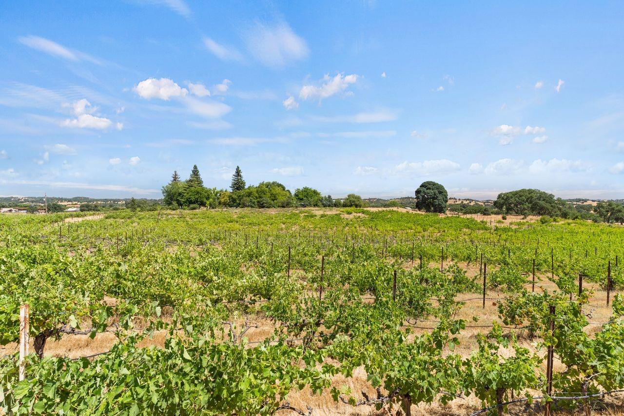 21226 Dickson Road, Plymouth, California, 95669, United States, ,Land,For Sale,21226 Dickson Road,1672447