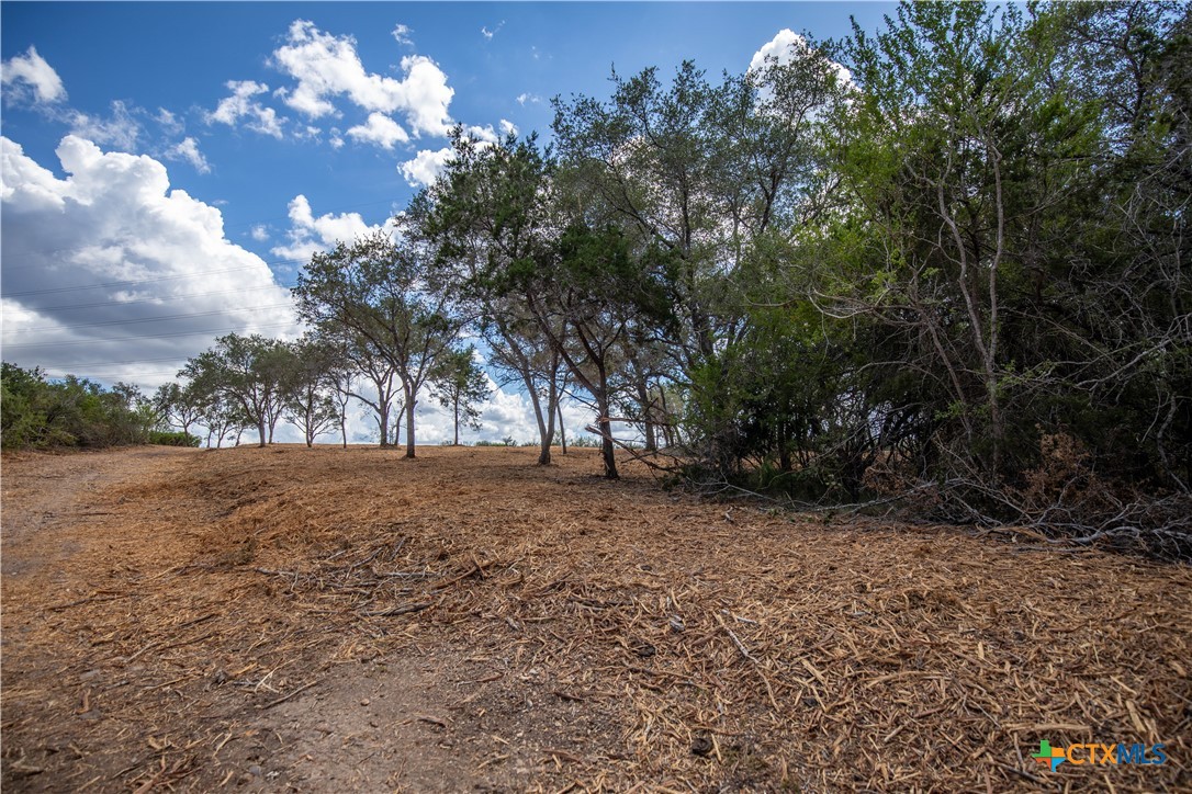 Cuero, Texas, 77954, United States, ,Residential,For Sale,1963995