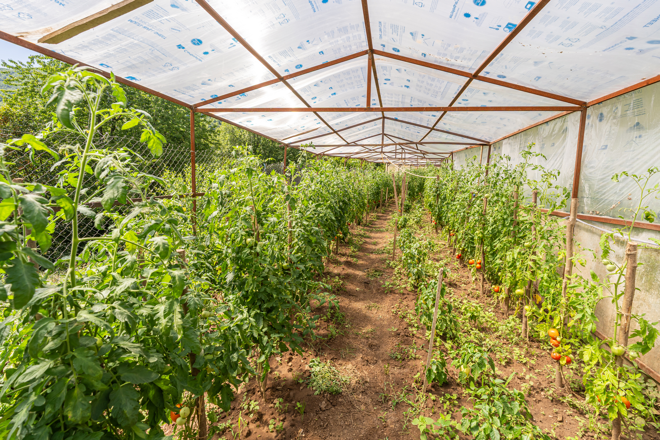  Versatile 22-Hectare Private Estate - Forested Heart of the Apuseni Mountains - 物件實景