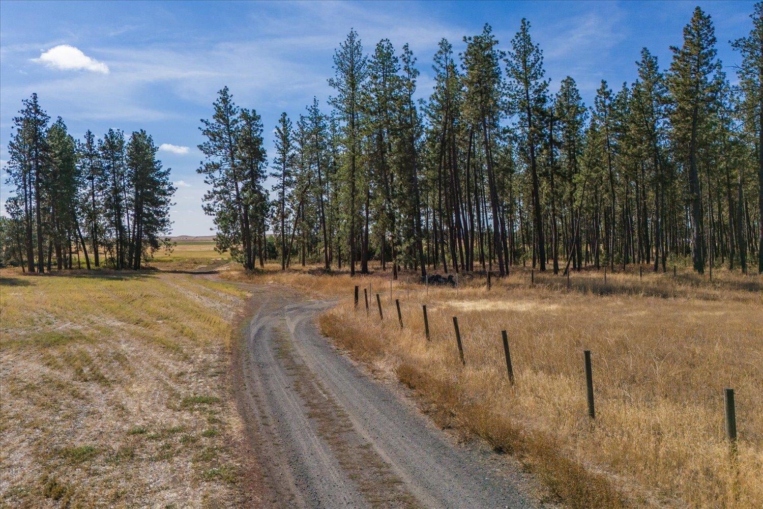 102 E Cameron Rd, Spangle, Washington, 99031, United States, ,Residential,For Sale,102 E Cameron Rd,1404590