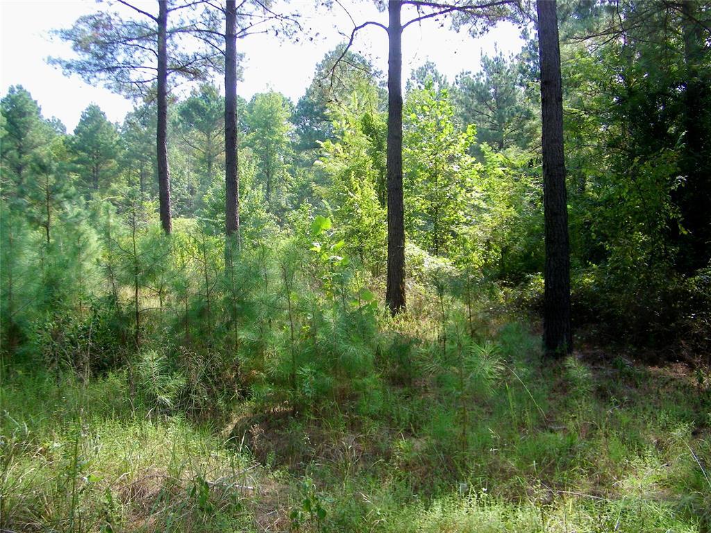 Broken Bow, Oklahoma, 74728, United States, ,Residential,For Sale,1979541