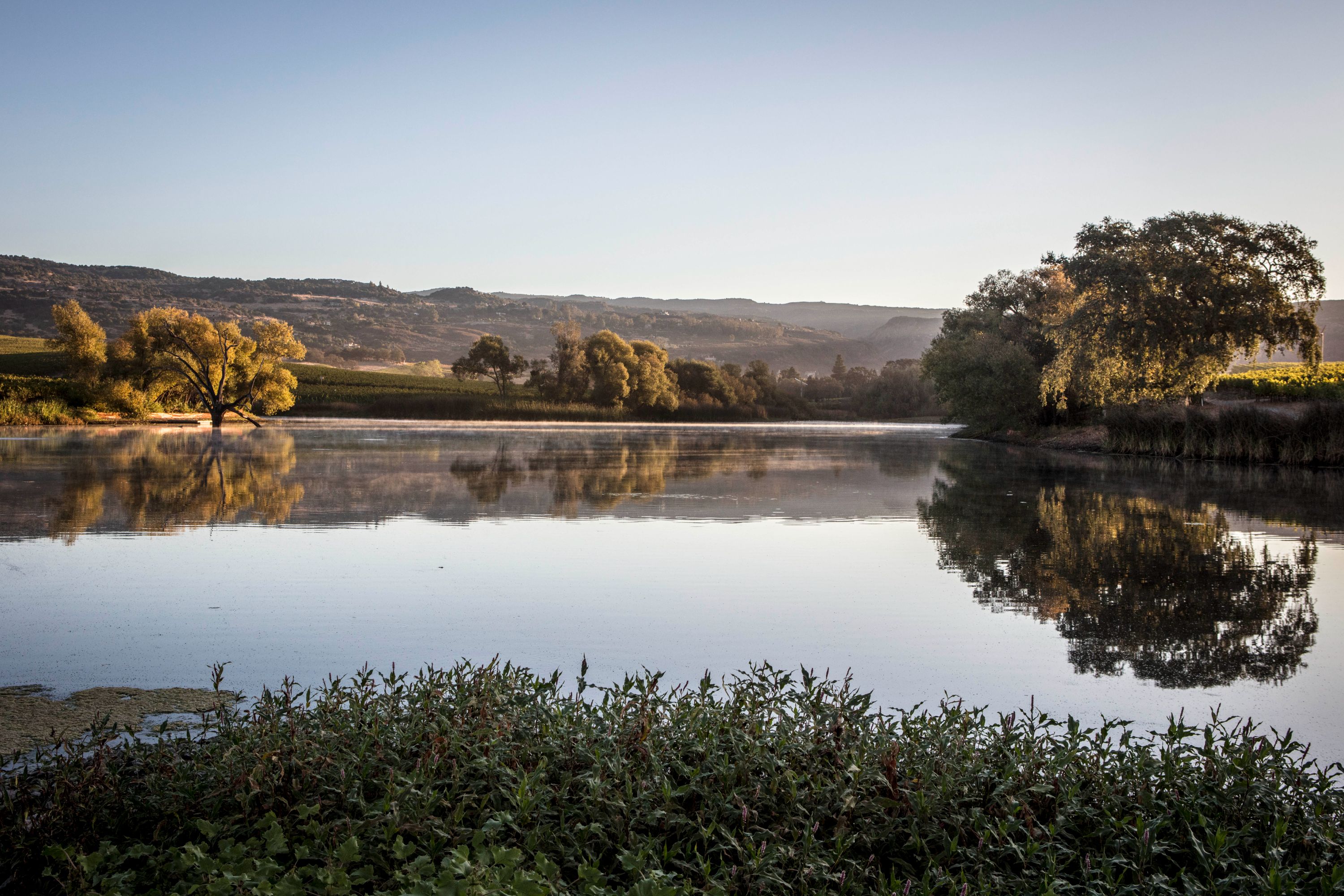  Krupp Brothers Estate - 物件實景