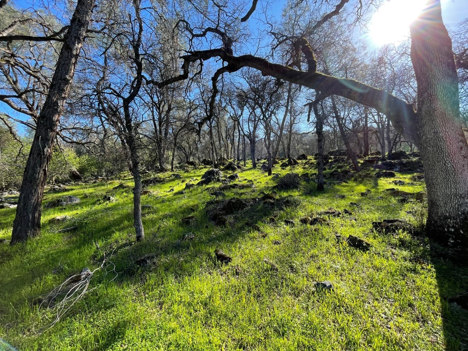 Vallecito, California, 95251, United States, ,Land,For Sale,1980651