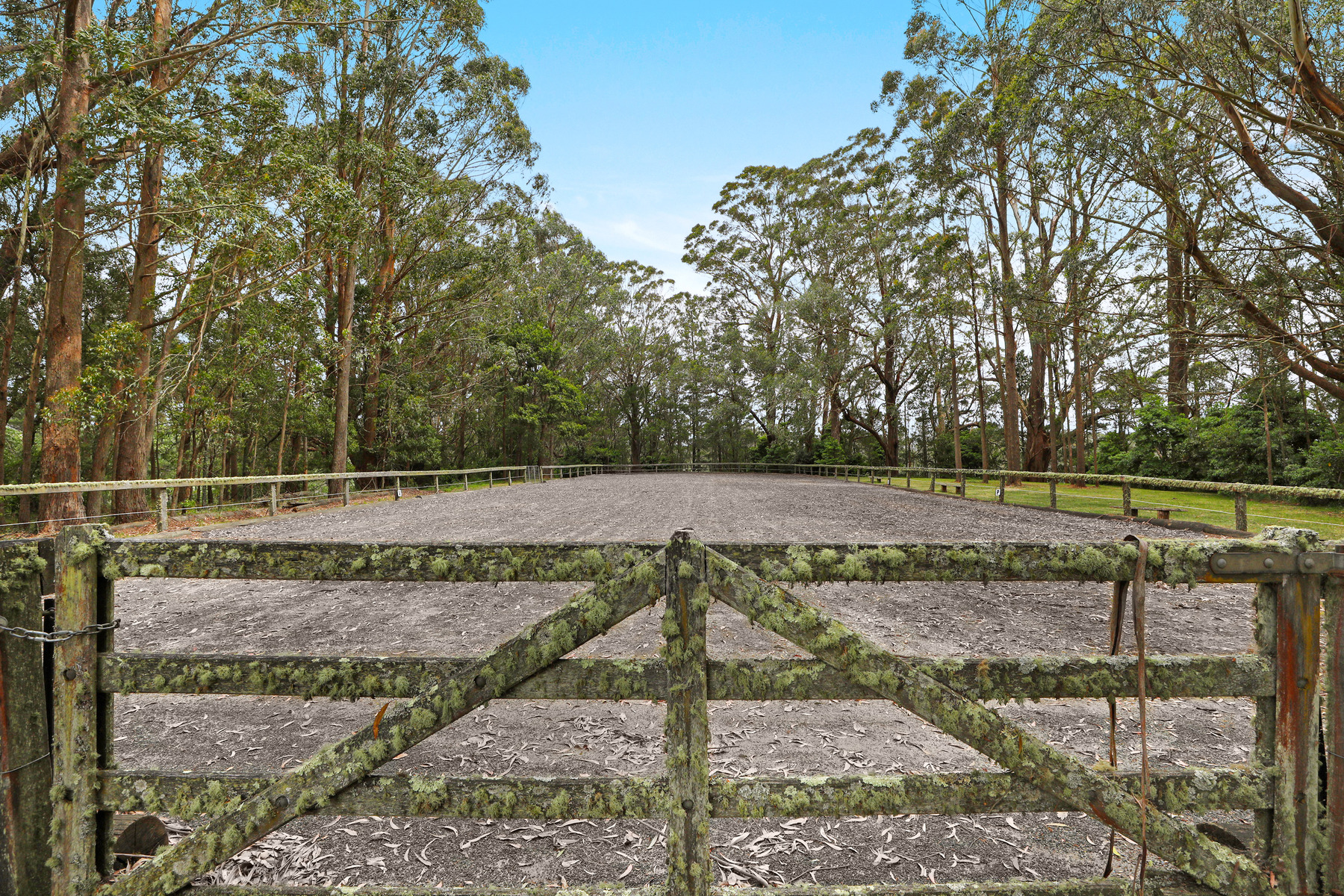  Fox Hill - 物件實景