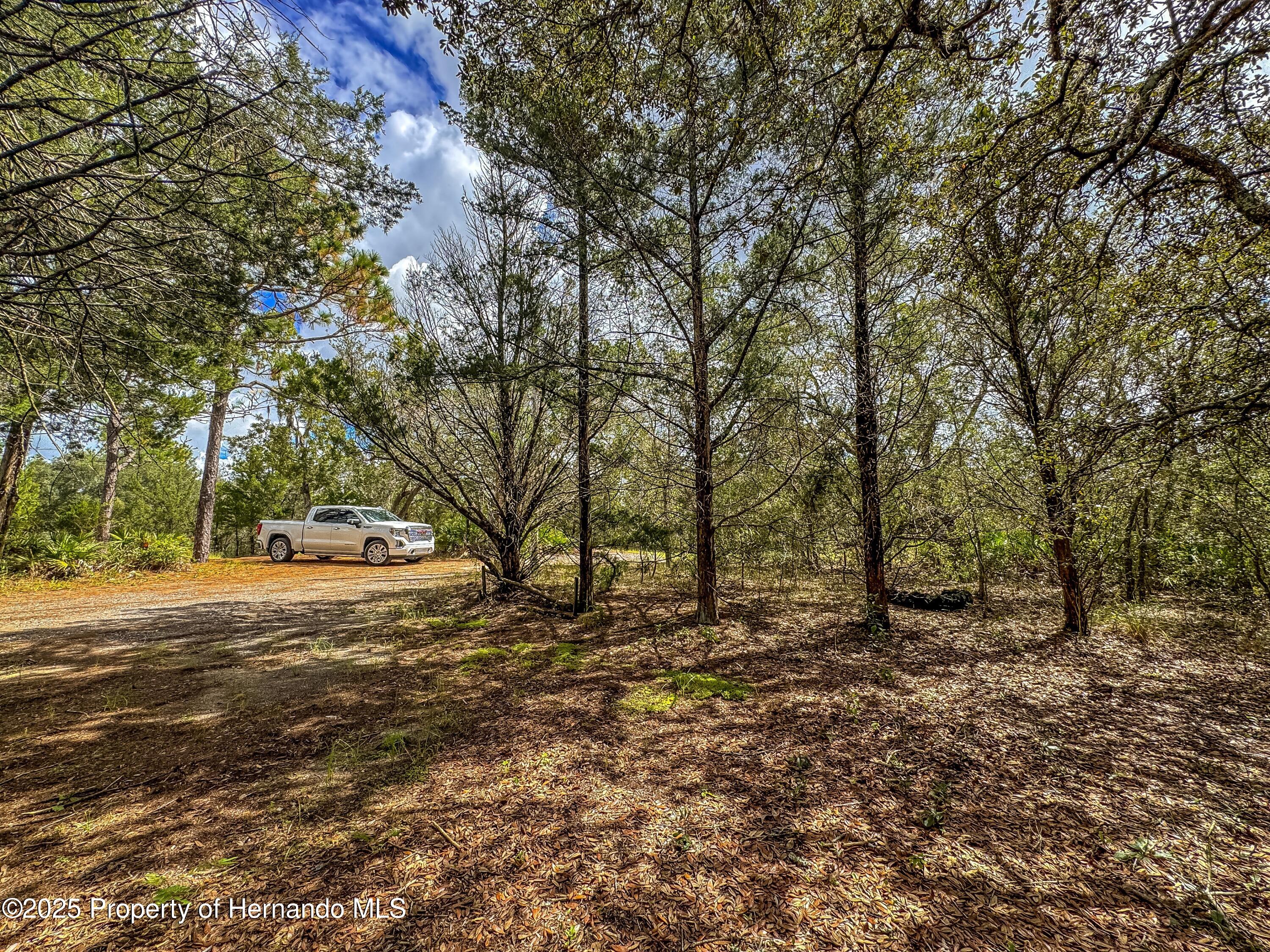 Brooksville, Florida, 34613, United States, 4 Bedrooms Bedrooms, ,2 BathroomsBathrooms,Residential,For Sale,1975088