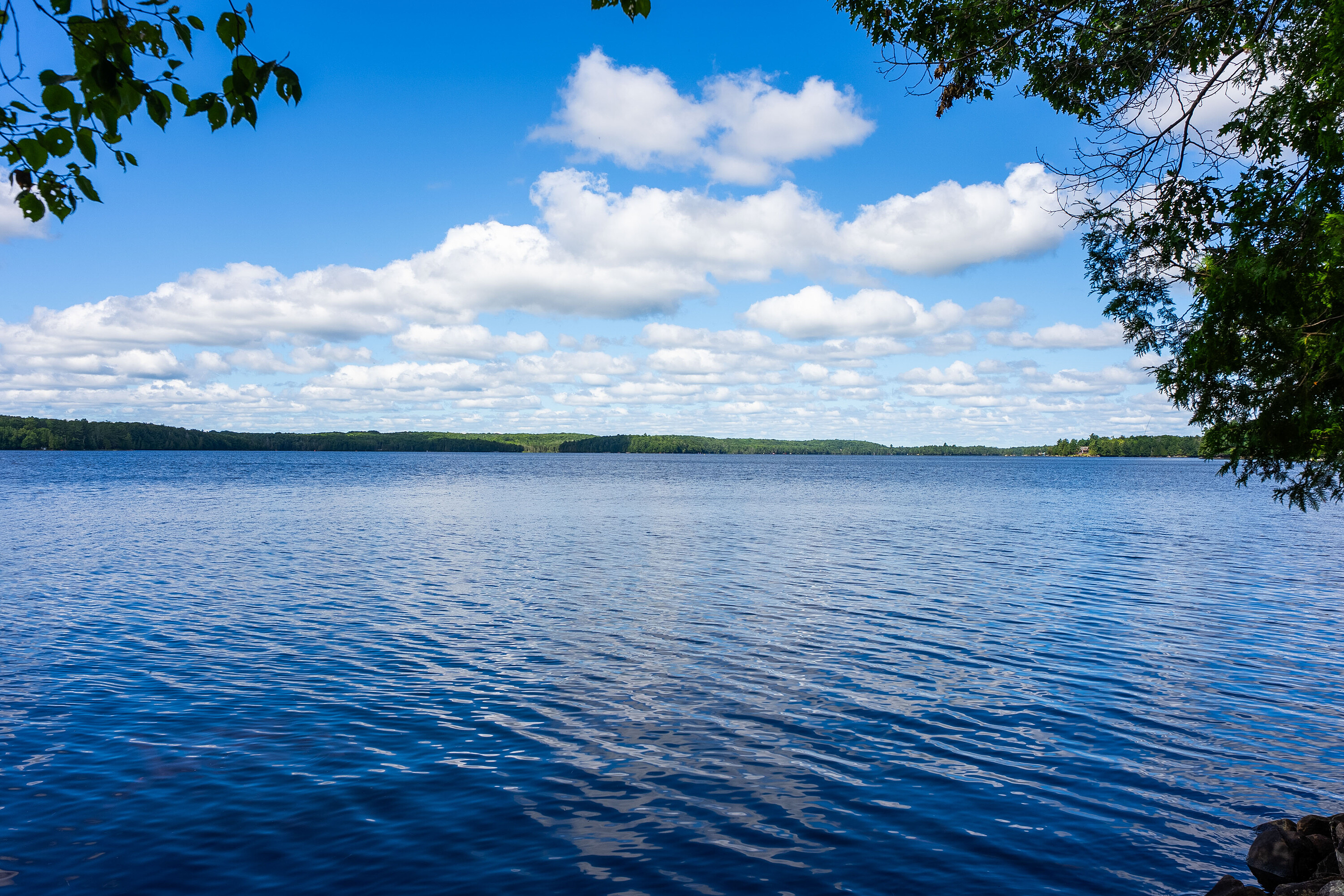  Ahmic Lake Home or Cottage - 物件實景