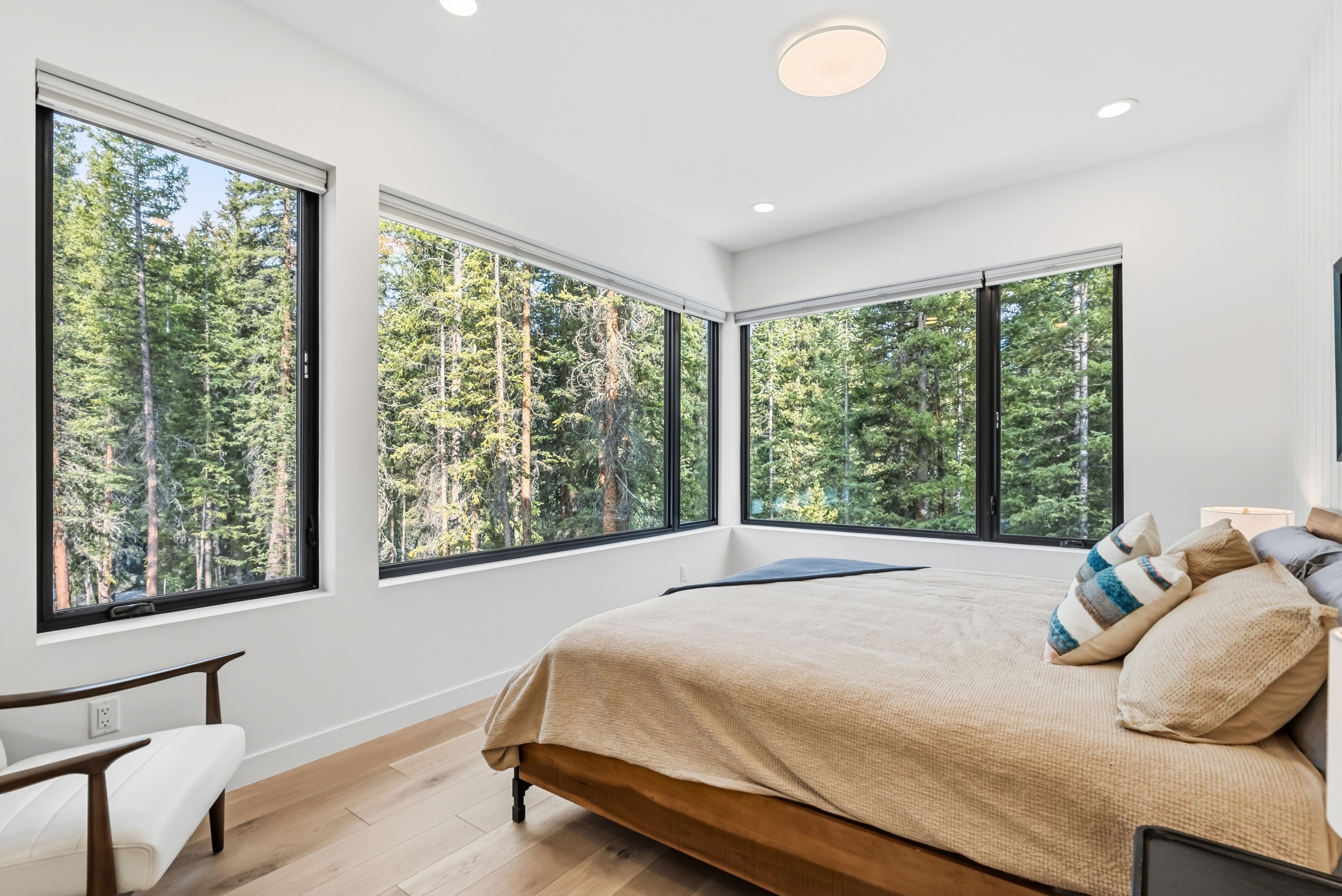  331 Doris Drive, Blue River, CO, 80424 - 物件實景