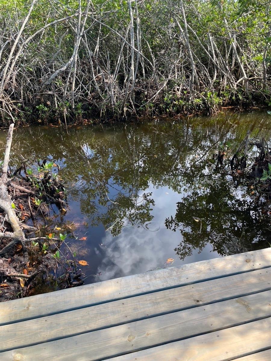 Tarpon Springs, Florida, 34689, United States, 4 Bedrooms Bedrooms, ,4 BathroomsBathrooms,Residential,For Sale,1975840