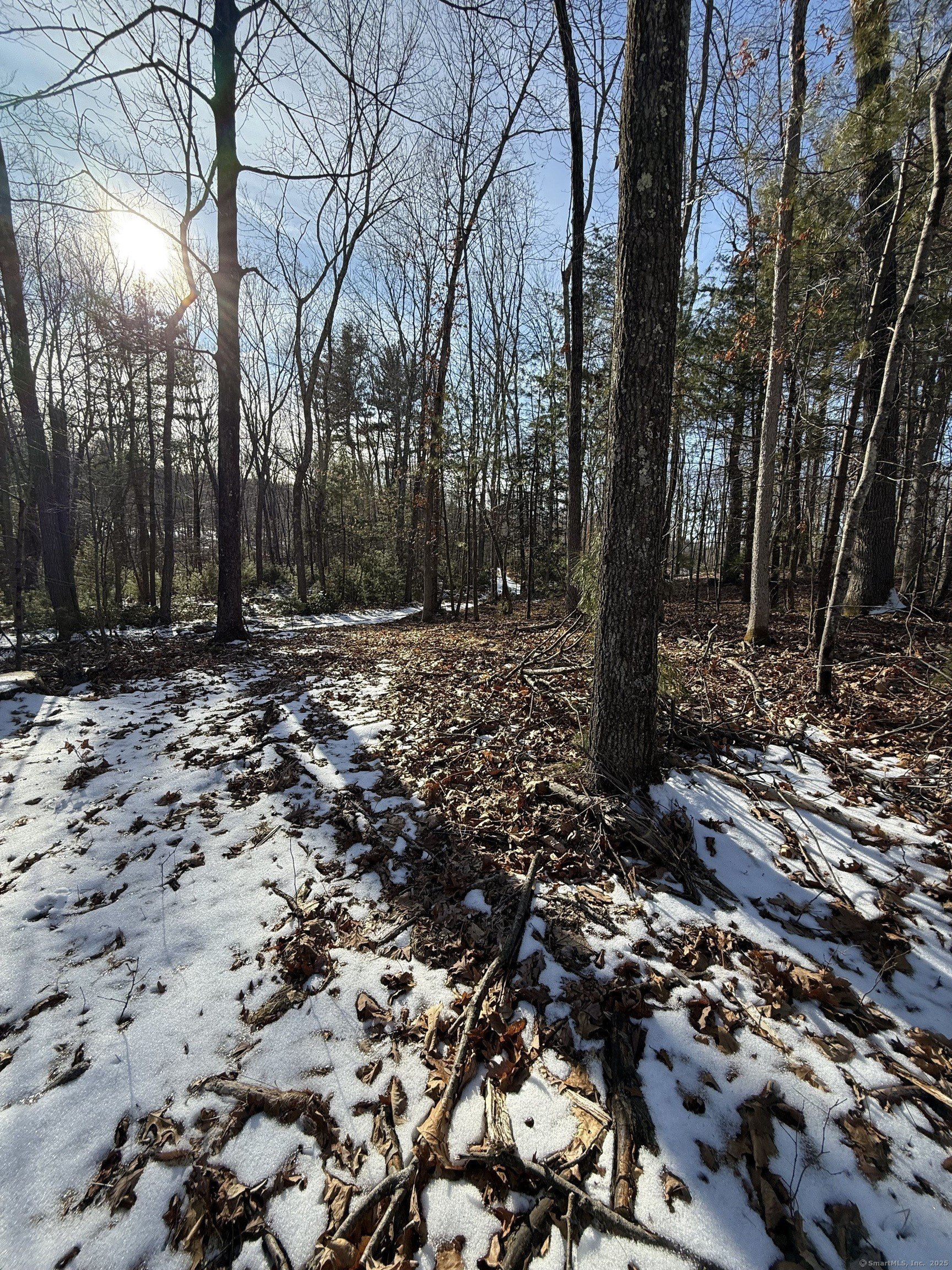 Burlington, Connecticut, 06013, United States, ,Land,For Sale,1982726