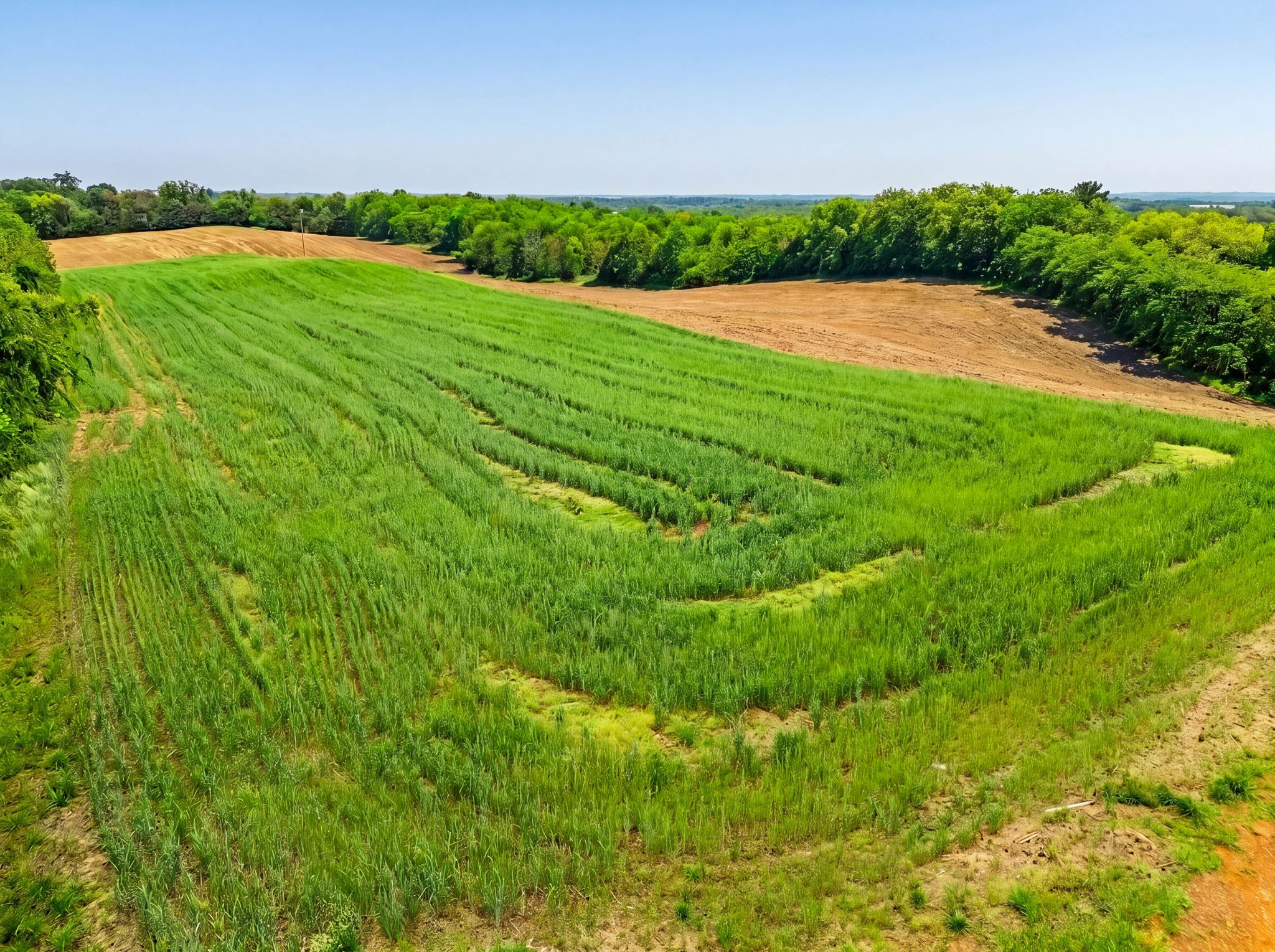  Ridge (lot1.95 Ac Lot B) Road, Hedgesville, WV, 25427 - 物件實景