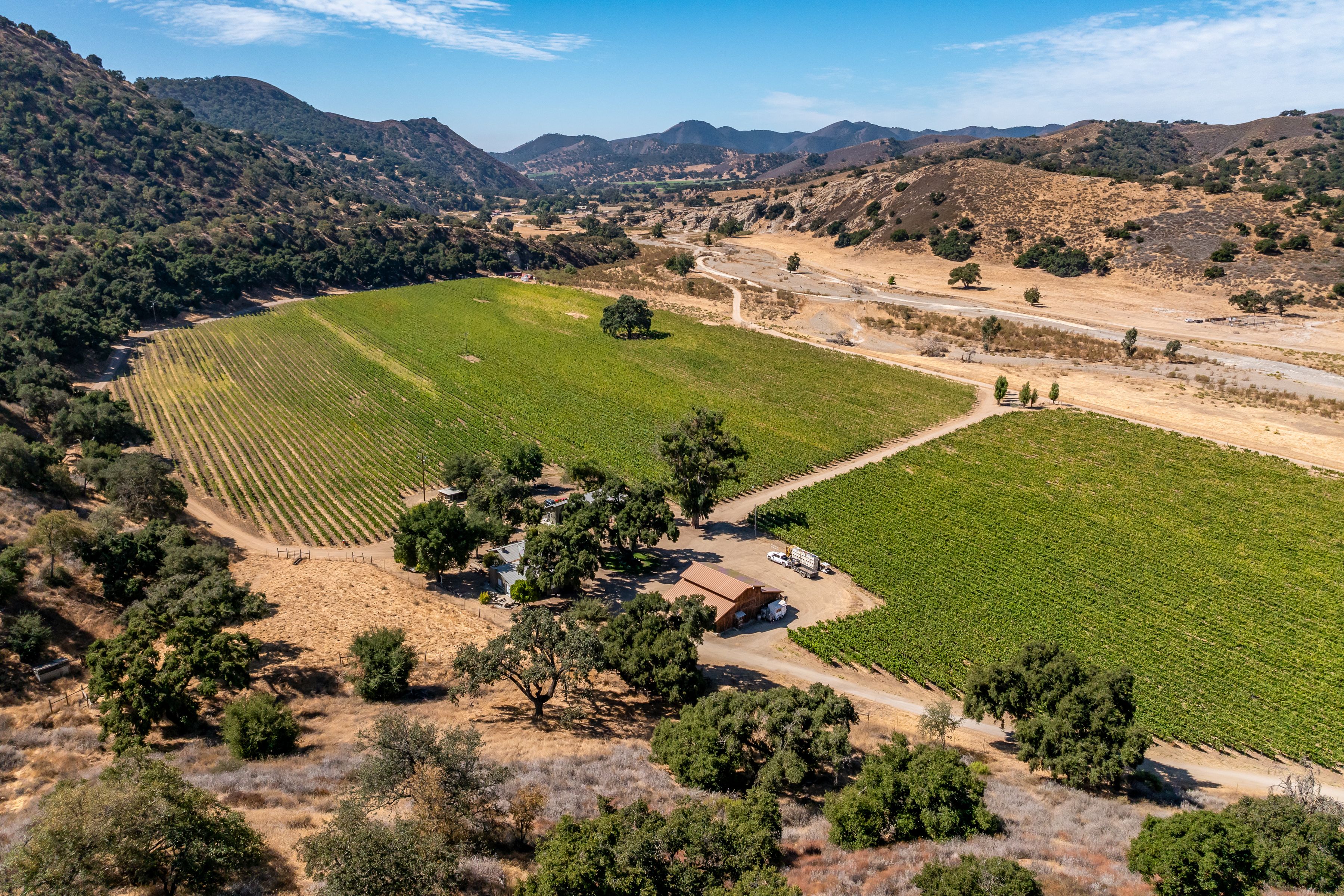  Extraordinary Vineyard Estate - 物件實景
