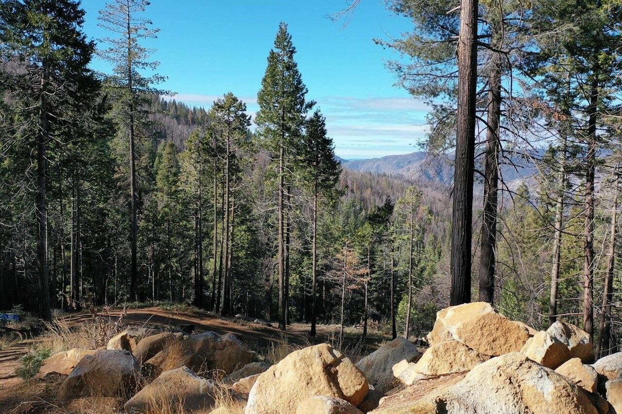 Yosemite, California, 95389, United States, ,Residential,For Sale,1791701