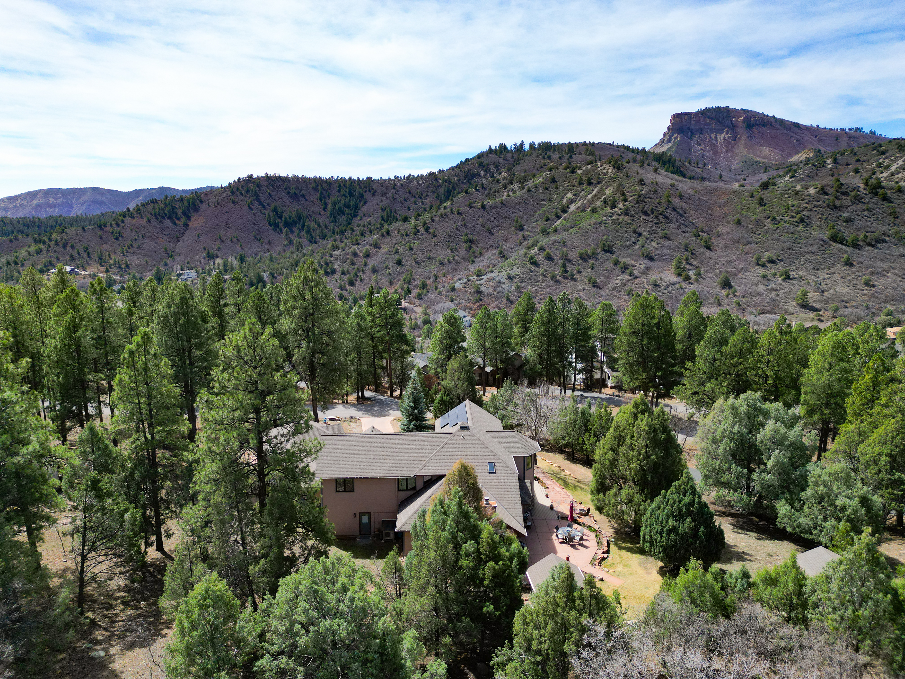  25 Perins Vista Drive, Durango, CO 81301 - 物件實景