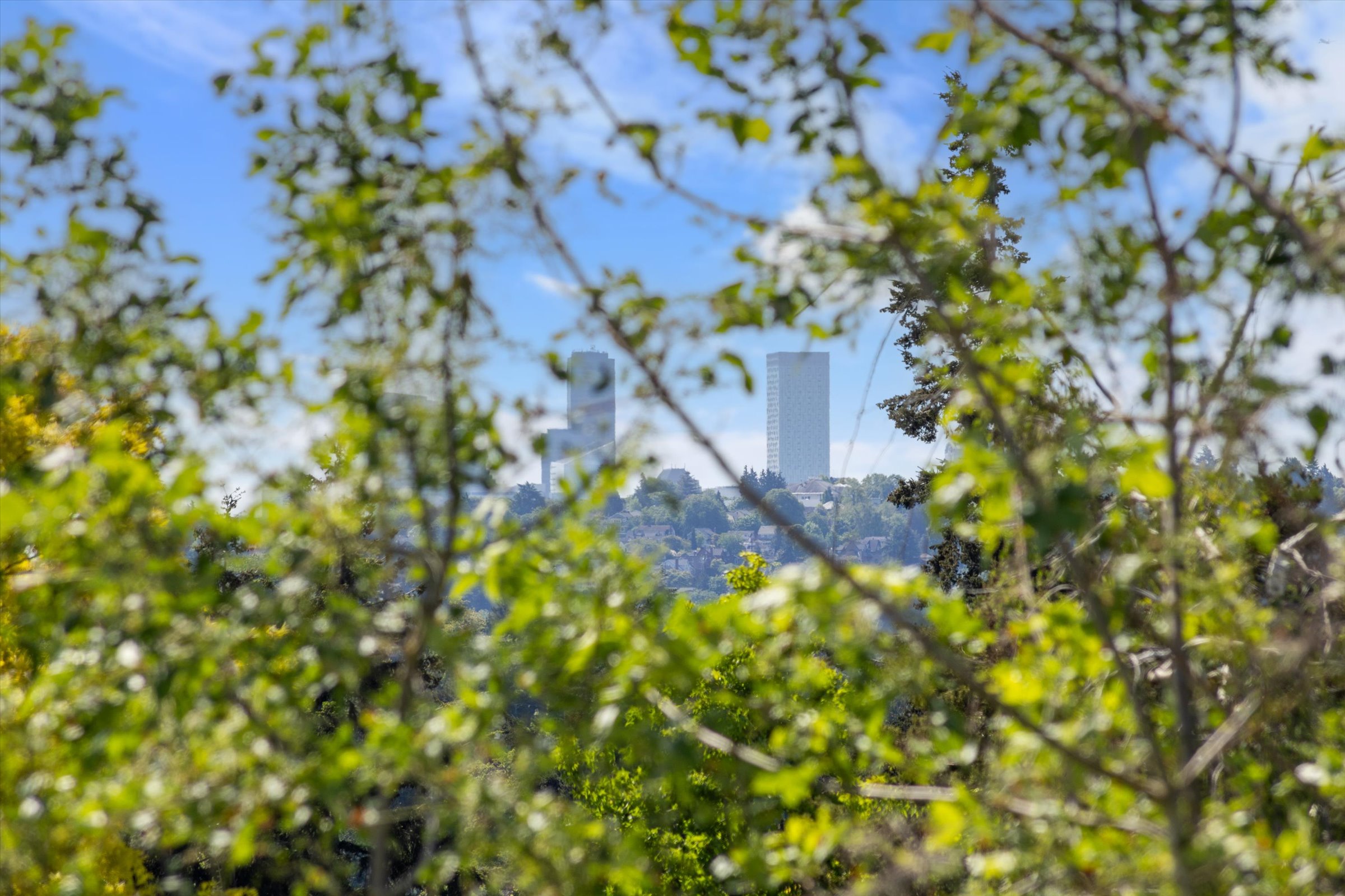  813 NW 63rd St, Seattle, WA 98107 - 物件實景