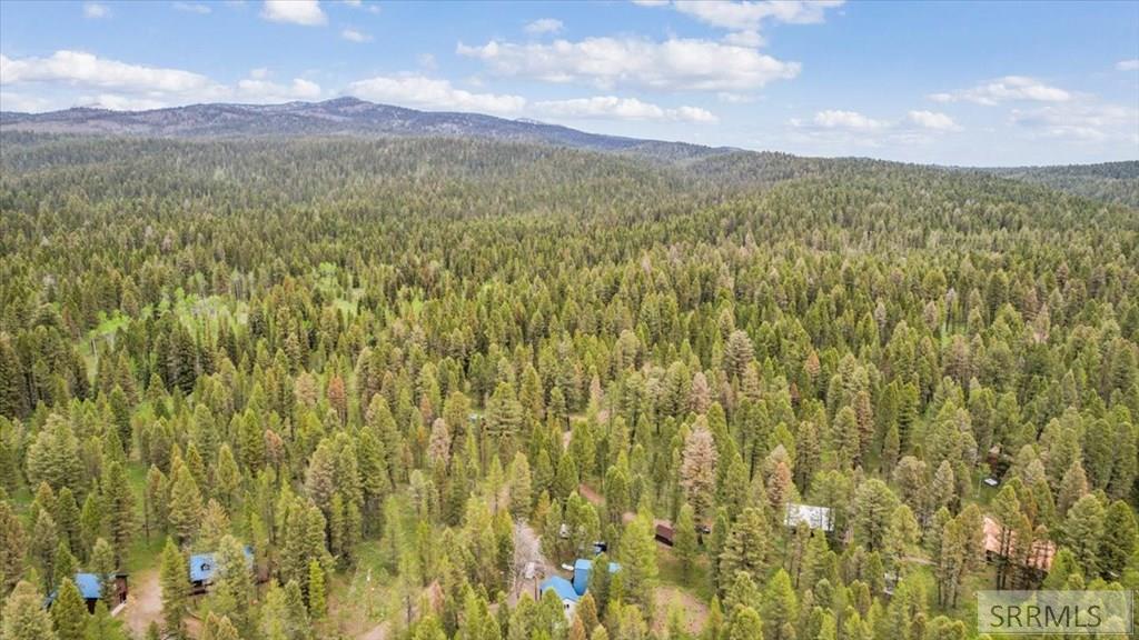 ISLAND PARK, Idaho, 83429, United States, 3 Bedrooms Bedrooms, ,2 BathroomsBathrooms,Residential,For Sale,2049198