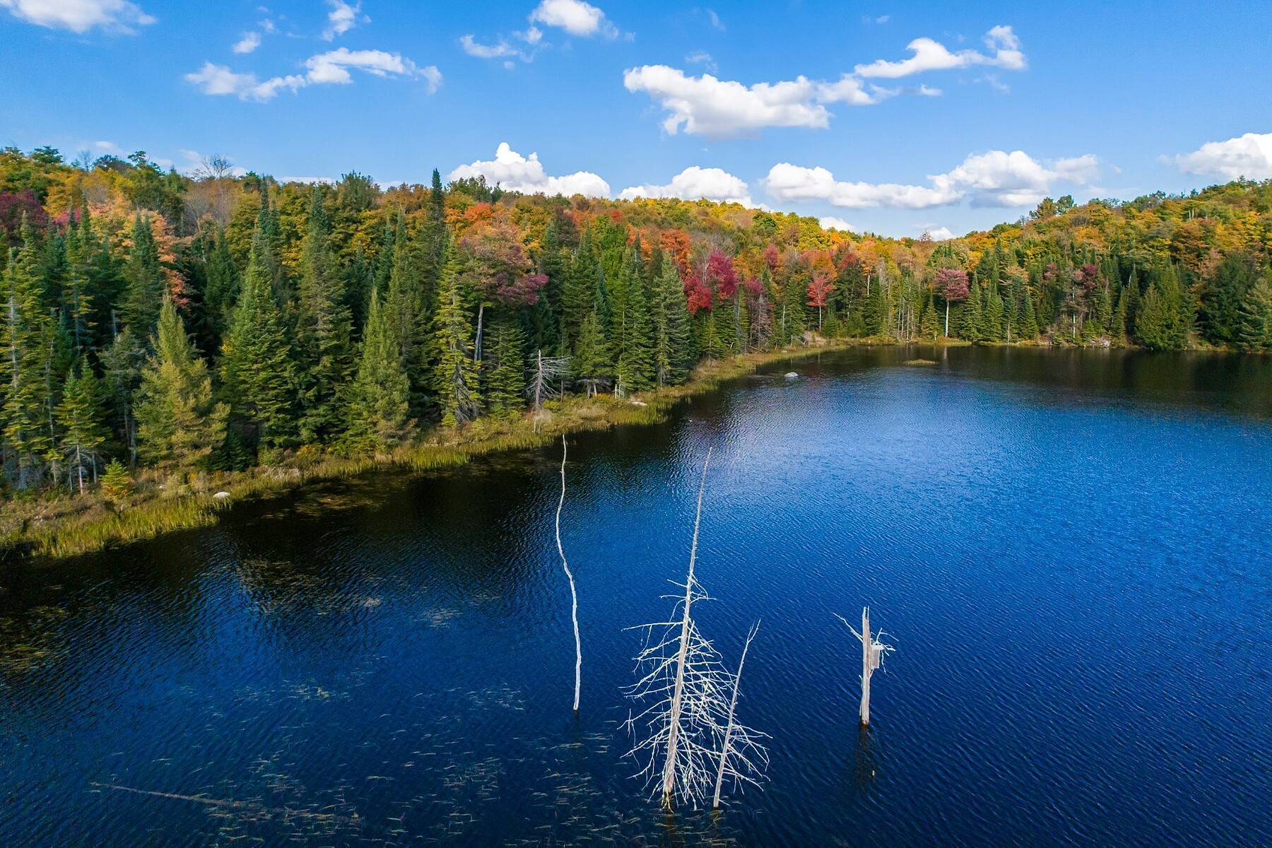  Grenville-sur-la-Rouge, Laurentides - 物件實景