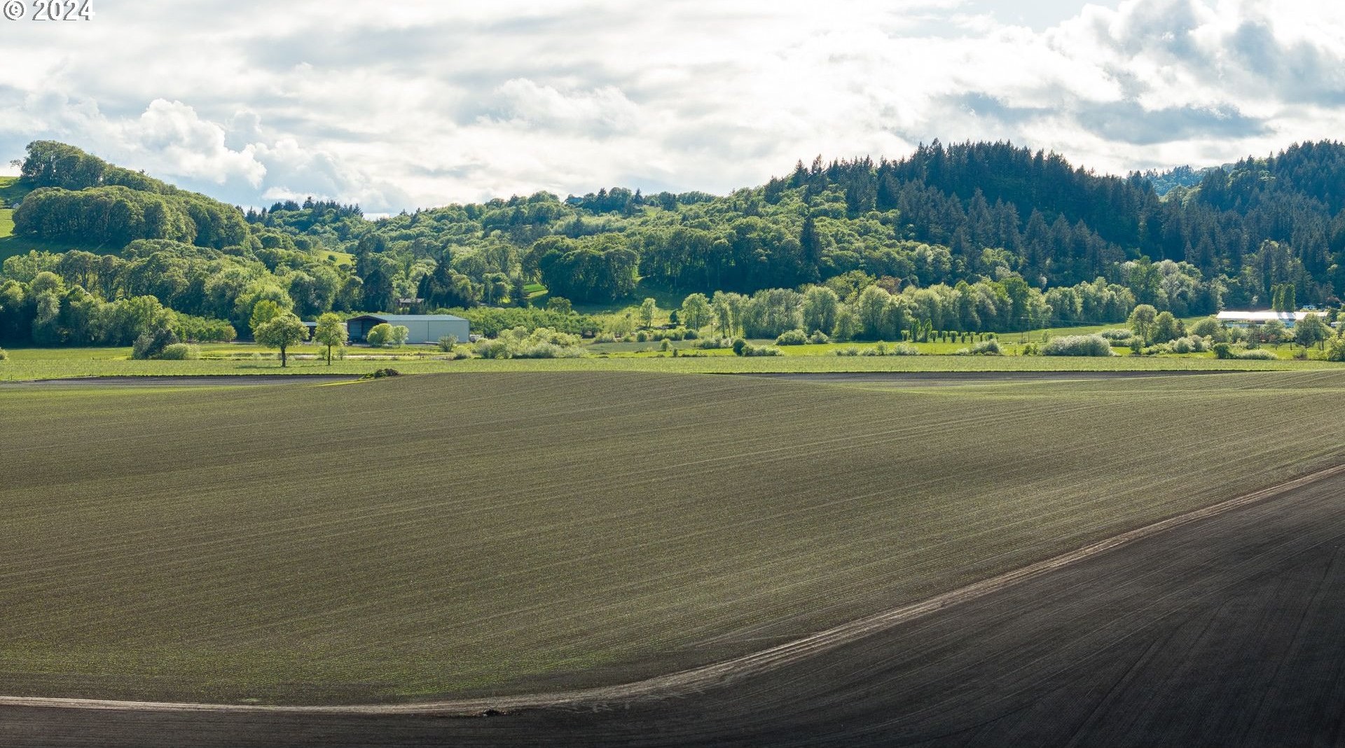 0 SW YOUNGBERG HILL RD, McMinnville, Oregon, 97128, United States, ,Land,For Sale,0 SW YOUNGBERG HILL RD,1523694