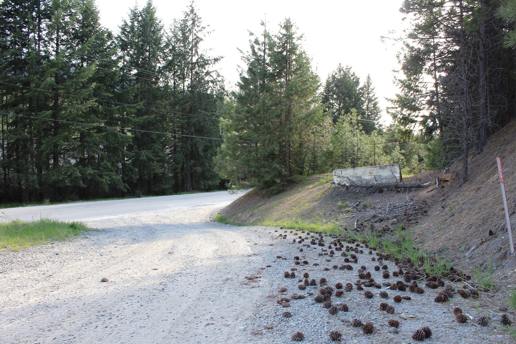  19a Daisy Gulch Road - 物件實景