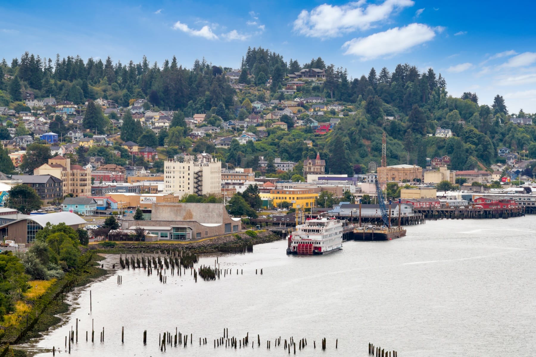  550 STATE ROUTE 401 Naselle, WA 98638 - 物件實景
