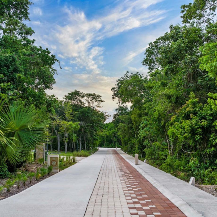 Solidaridad, Quintana Roo, 77728, Mexico, 1 Bedroom Bedrooms, ,Residential,For Sale,1917275