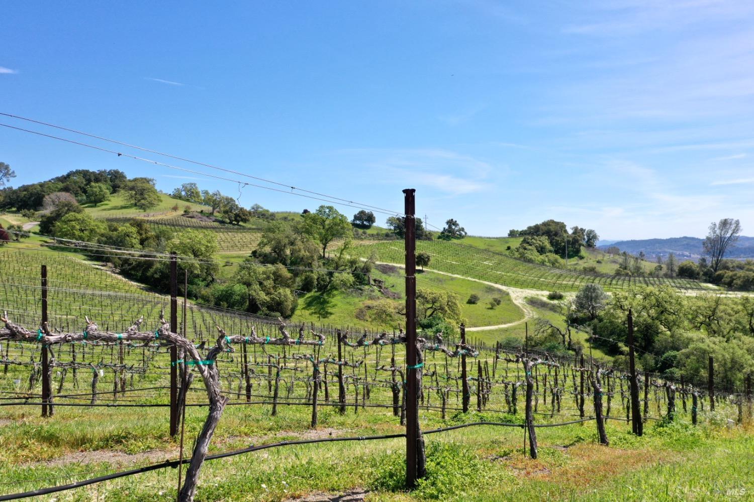 Cloverdale, California, 95425, United States, 5 Bedrooms Bedrooms, ,5 BathroomsBathrooms,Residential,For Sale,1759747