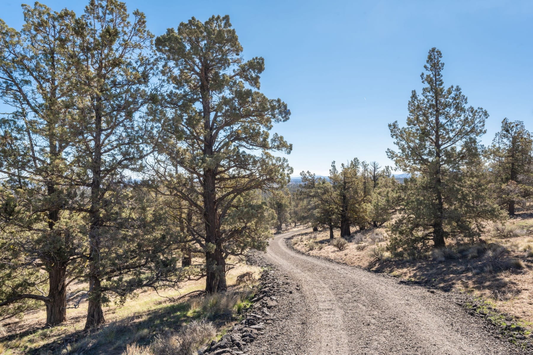  19040 Dusty Loop Bend, OR 97703 - 物件實景