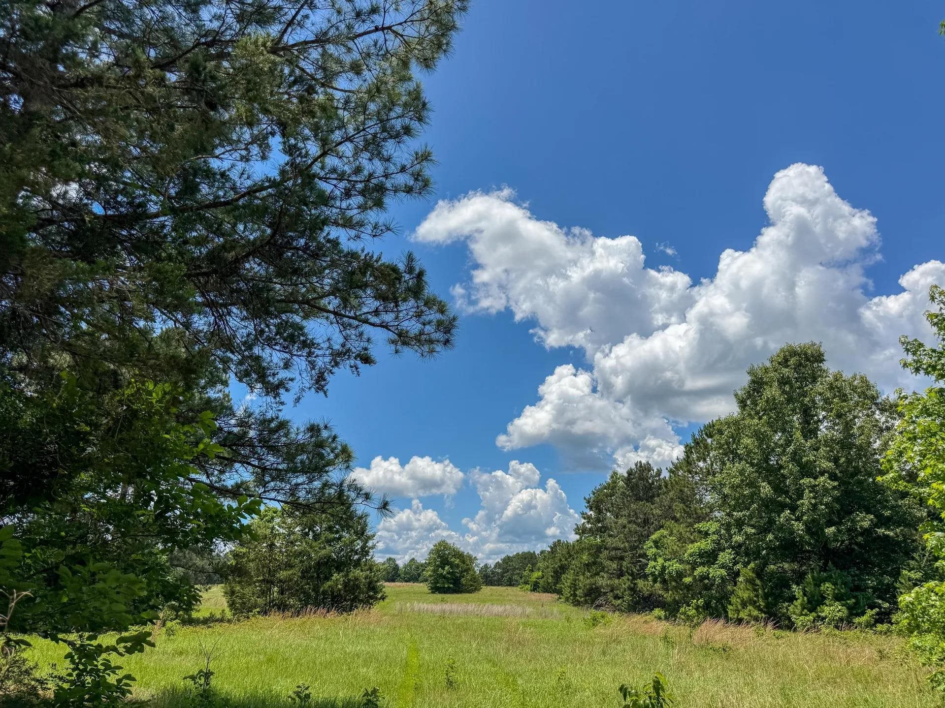 Douglassville, Texas, 75560, United States, ,Land,For Sale,2048006