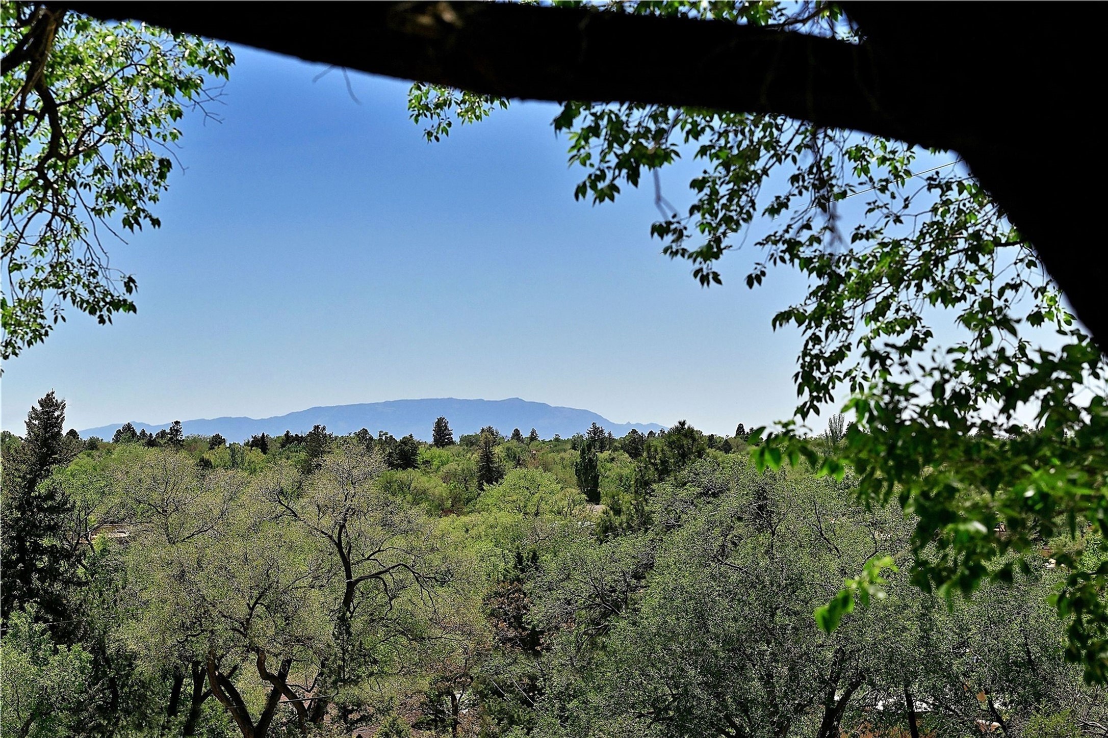  227 Rodriguez - 物件實景