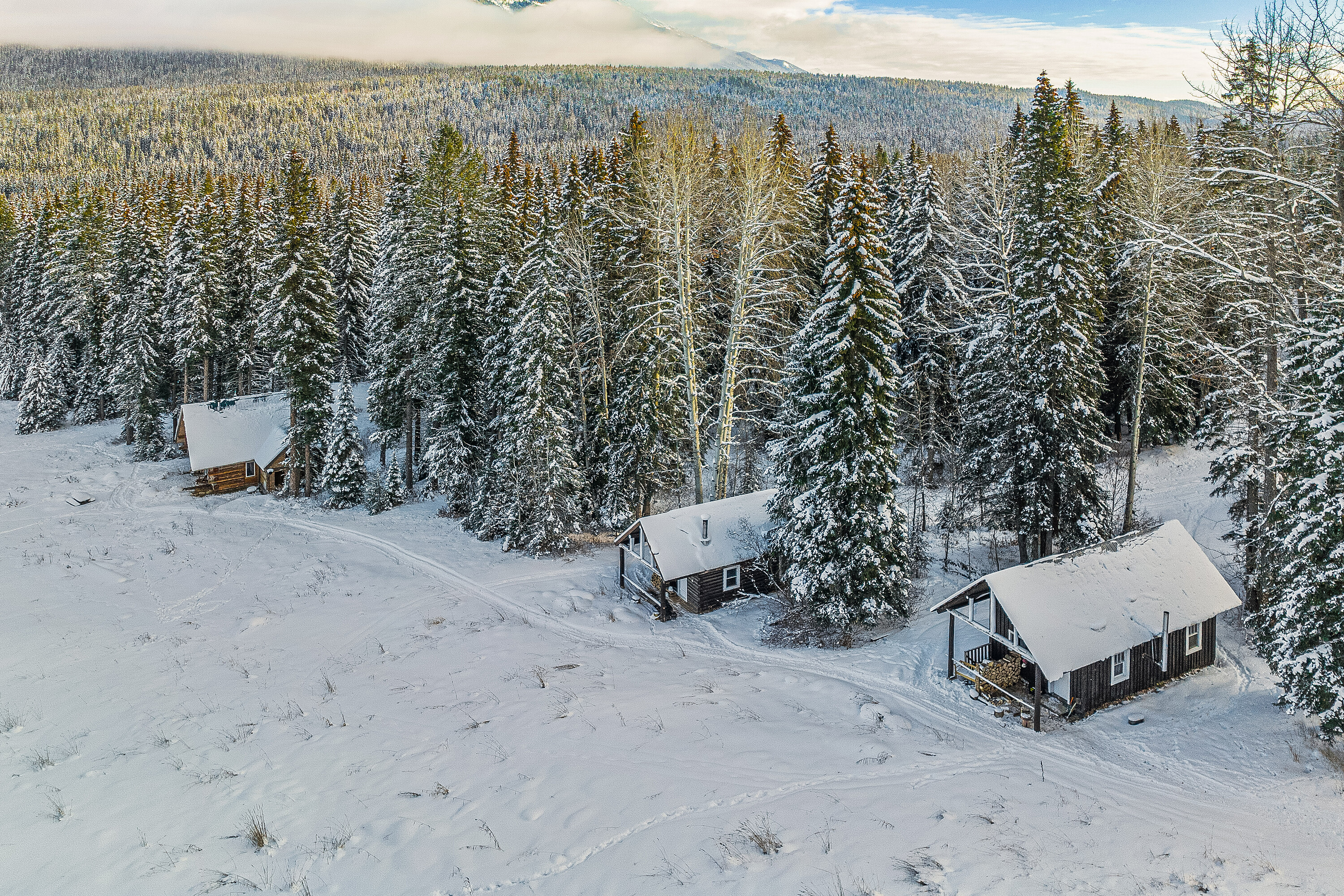  Beaverfoot Lodge - 物件實景