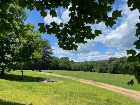 Mena, Arkansas, 71953, United States, 3 Bedrooms Bedrooms, ,3 BathroomsBathrooms,Residential,For Sale,1979119