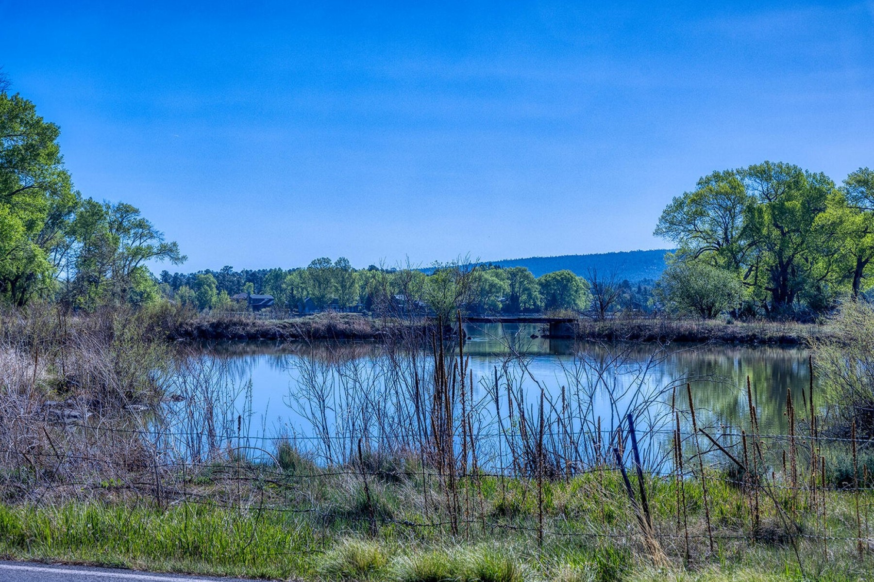 Lakefront property - 物件實景