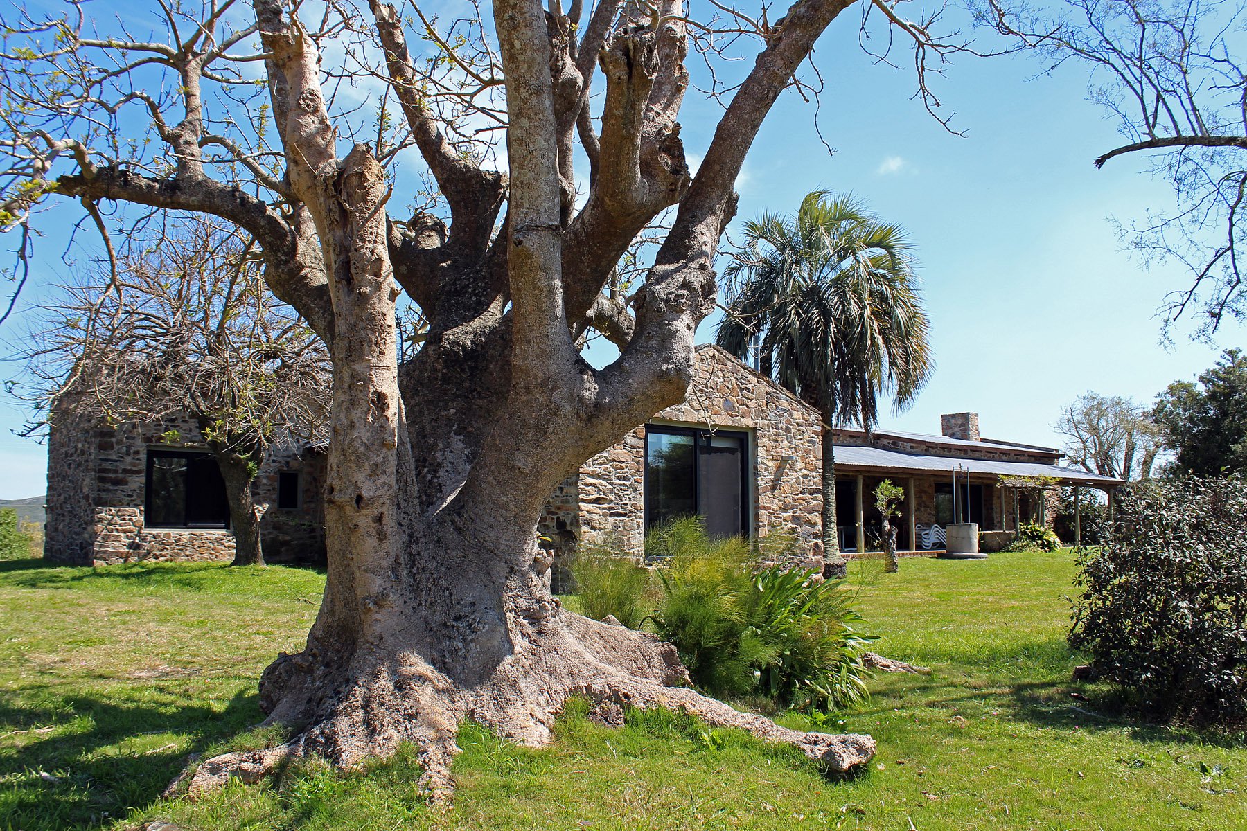  Farm with olive groves in Pueblo Edén - 物件實景