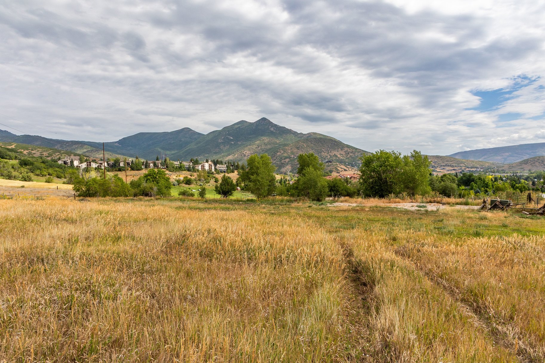  Rare 4-Acre Estate Property overlooking Midway - 物件實景