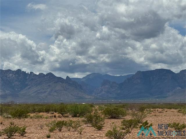Rodeo, New Mexico, 88056, United States, 3 Bedrooms Bedrooms, ,3 BathroomsBathrooms,Residential,For Sale,2047967