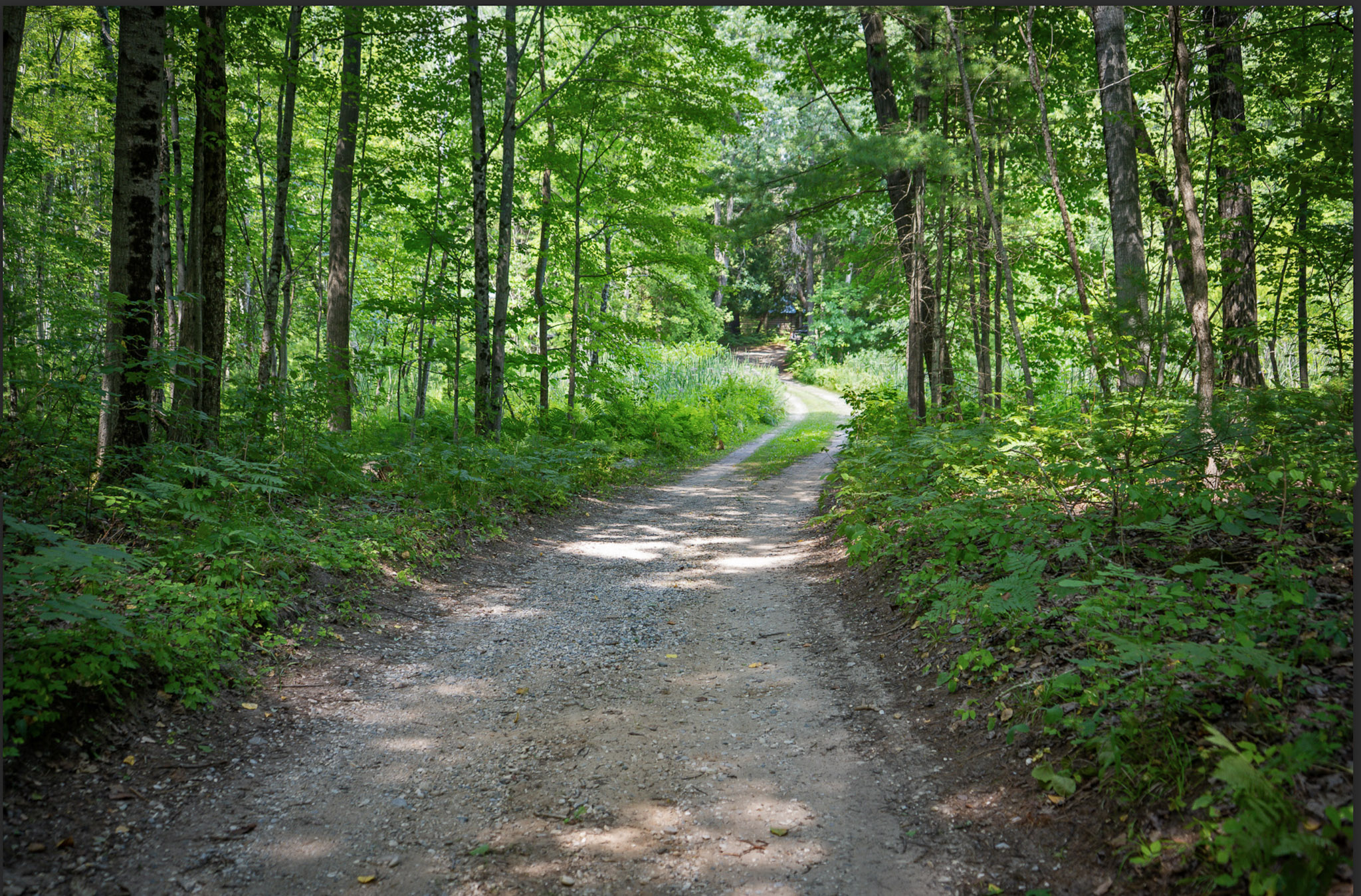 Branch, Michigan, 49402, United States, 1 Bedroom Bedrooms, ,1 BathroomBathrooms,Residential,For Sale,2001233