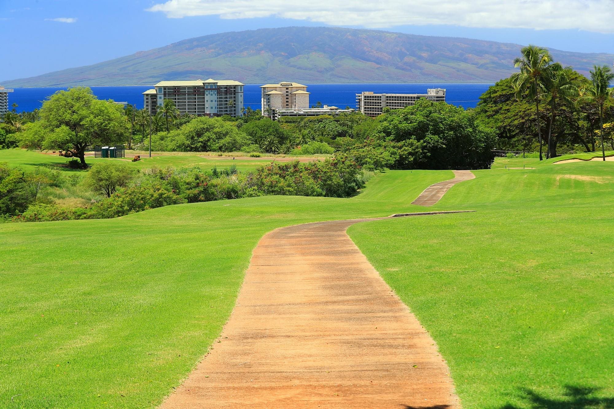 Lahaina, Hawaii, 96761, United States, ,Land,For Sale,1895971